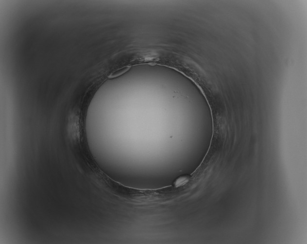 X0000102791442200808251019