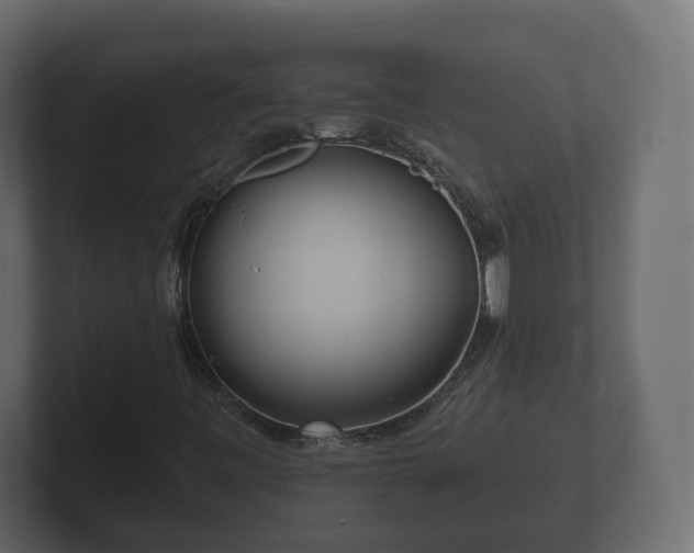 X0000102791443200808251019