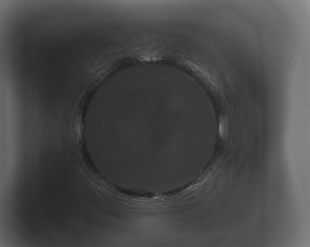 X0000102791444200808251019