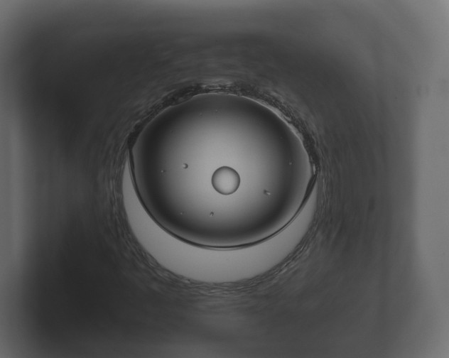 X0000102791445200808251019