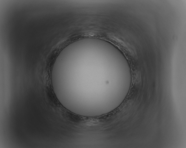 X0000102791446200808251019
