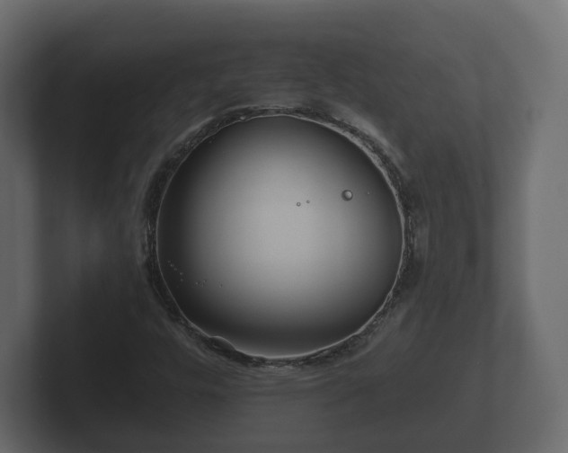 X0000102791448200808251019