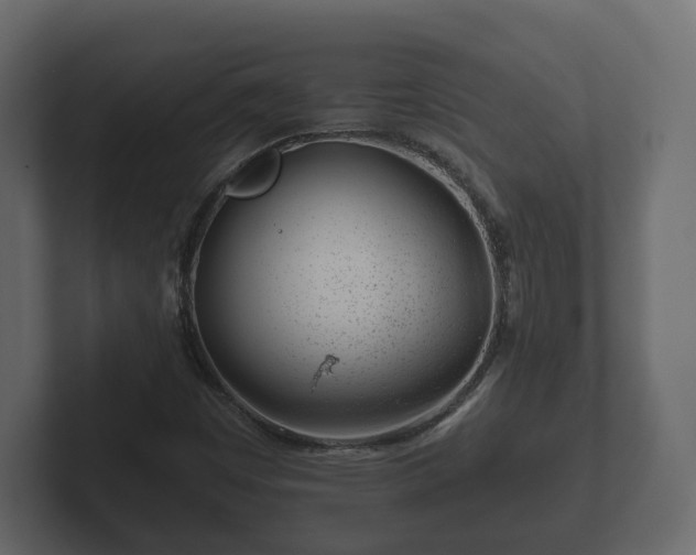 X0000102791449200808251019
