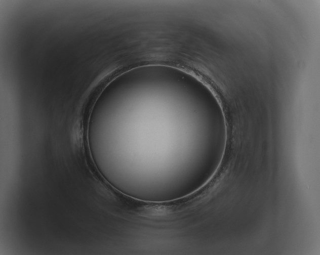 X0000102791450200808251019