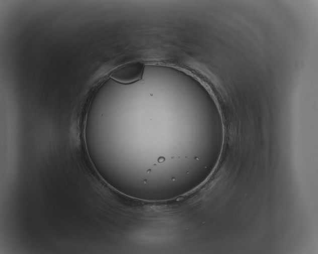 X0000102791451200808251019