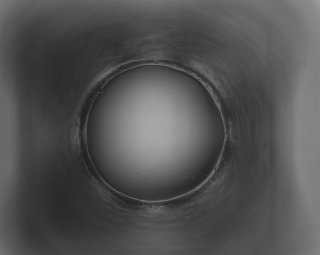 X0000102791452200808251019