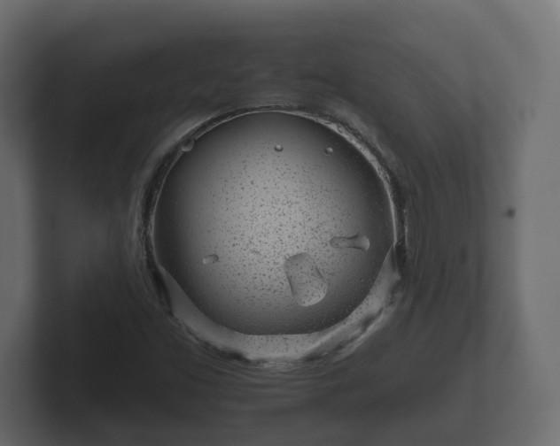X0000102791453200808251019