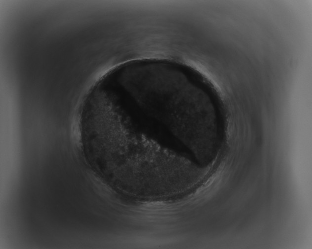 X0000102791455200808251019