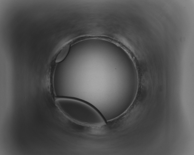 X0000102791456200808251019