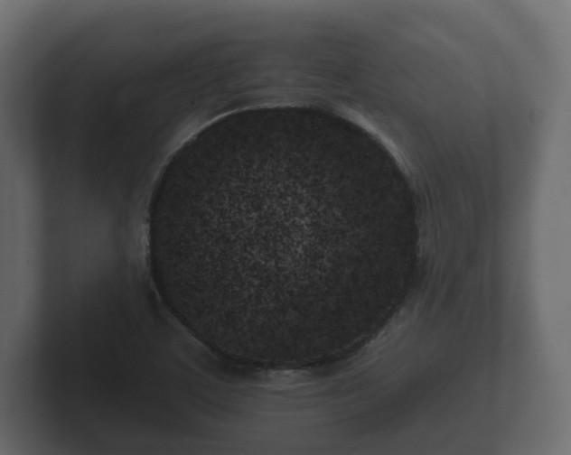 X0000102791459200808251019