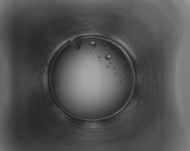 X0000102791460200808251019