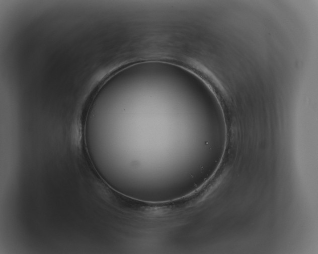 X0000102791461200808251018