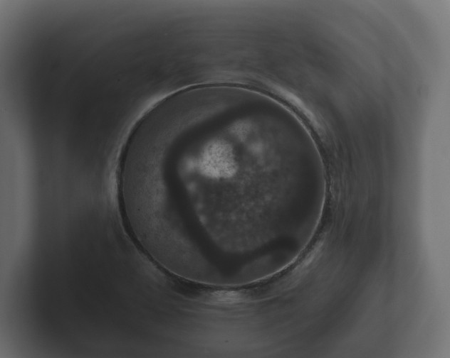 X0000102791463200808251018