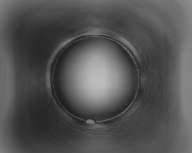 X0000102791464200808251018