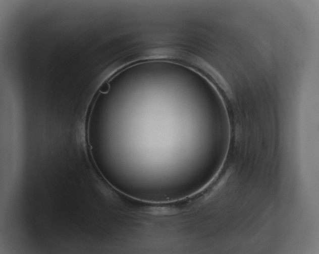 X0000102791465200808251018