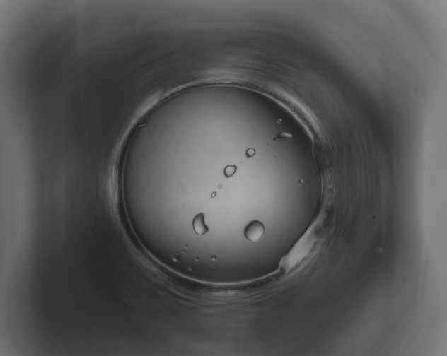 X0000102791467200808251018