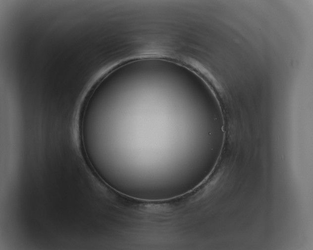 X0000102791469200808251018