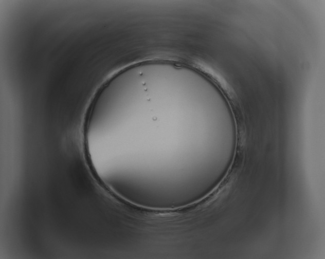 X0000102791471200808251018
