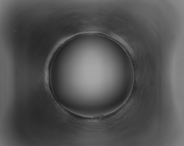 X0000102791472200808251018