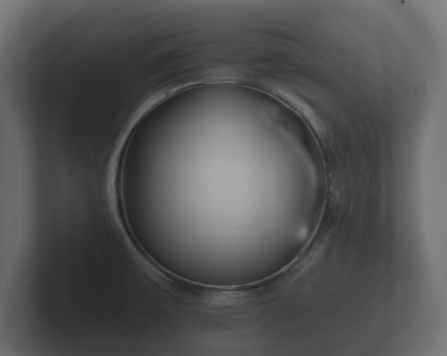 X0000102791475200808251018