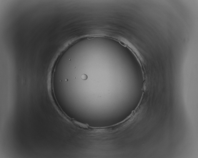 X0000102791477200808251018