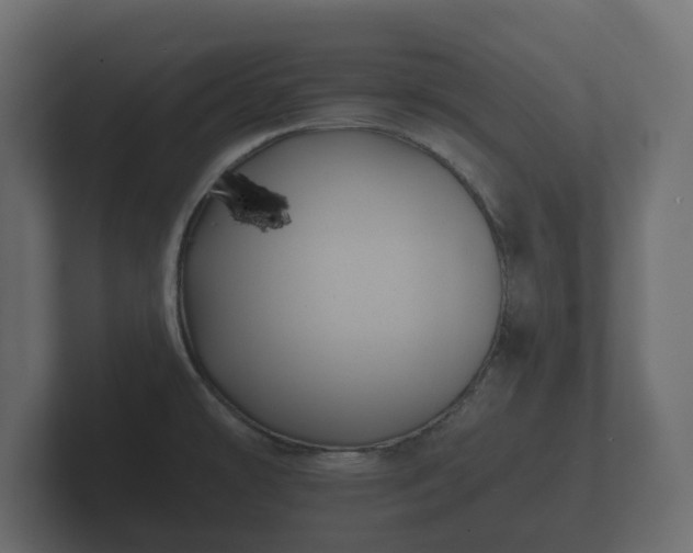 X0000102791478200808251018
