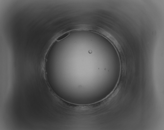 X0000102791481200808251018