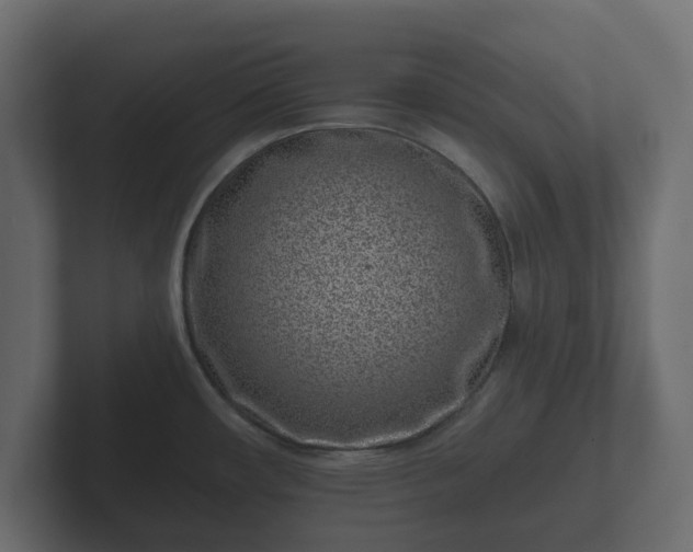 X0000102791482200808251018