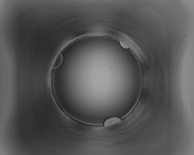 X0000102791484200808251018