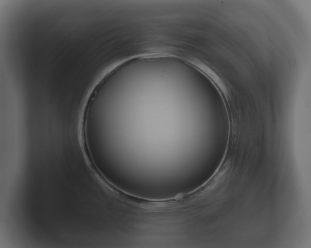 X0000102791485200808251018