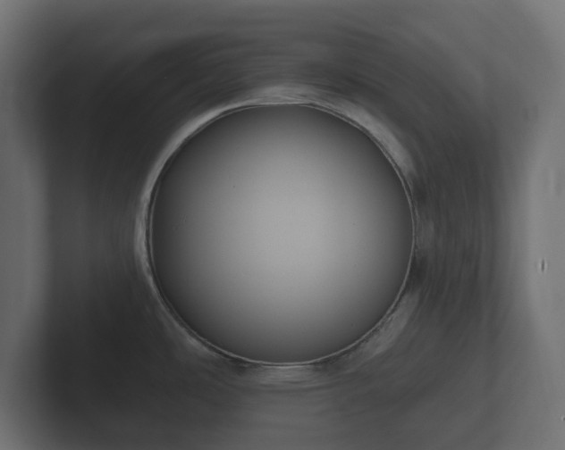 X0000102791486200808251018