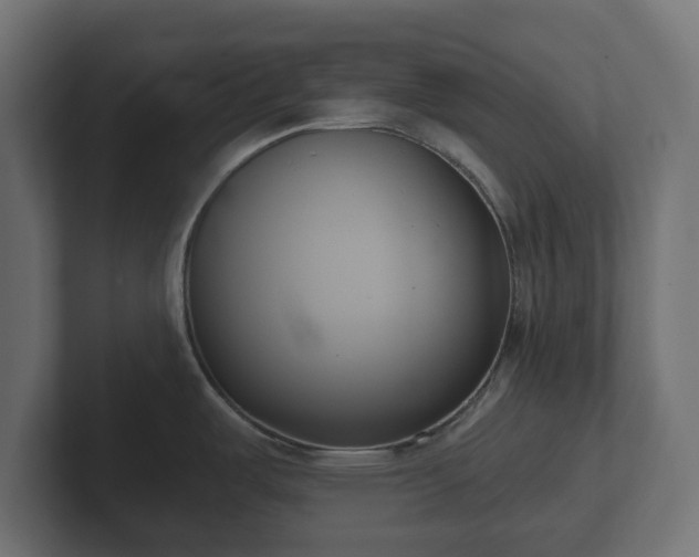 X0000102791487200808251018