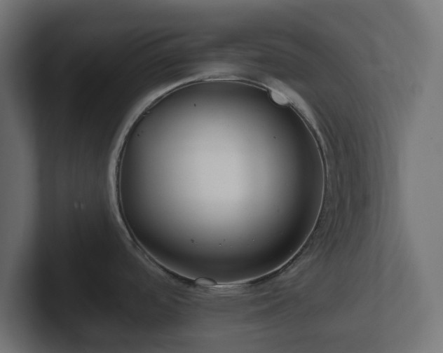 X0000102791488200808251018