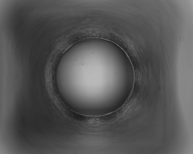X0000102791489200808251018