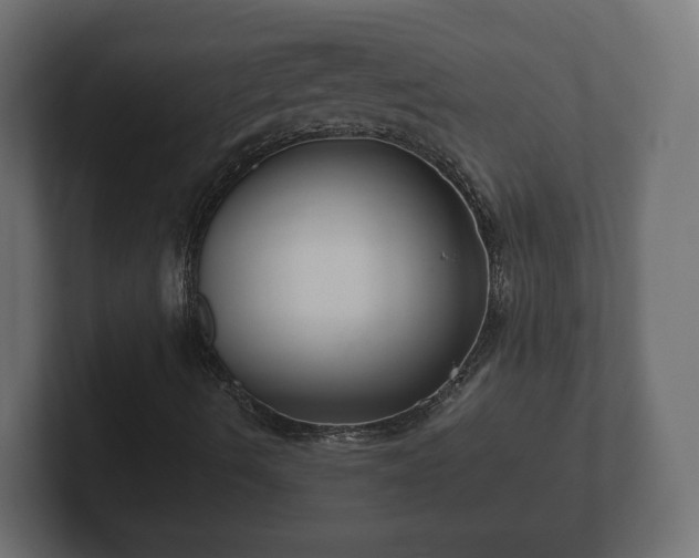 X0000102791490200808251018