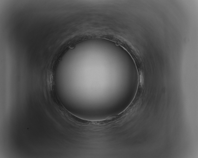 X0000102791492200808251018