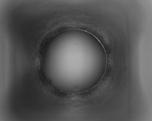 X0000102791493200808251018