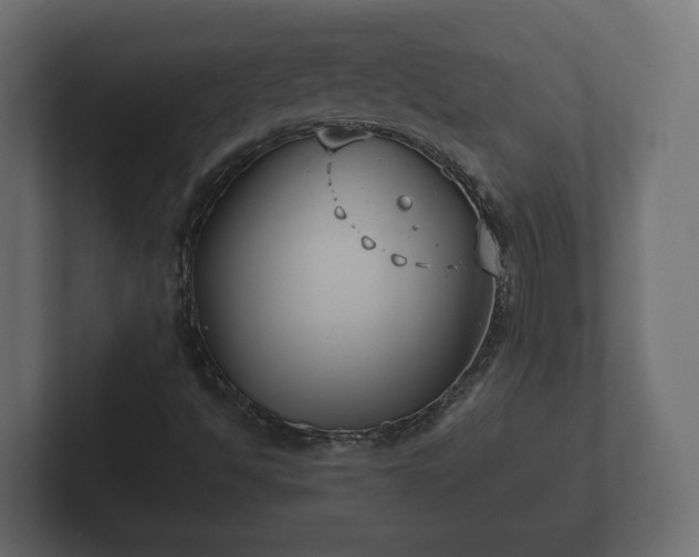 X0000102791494200808251018