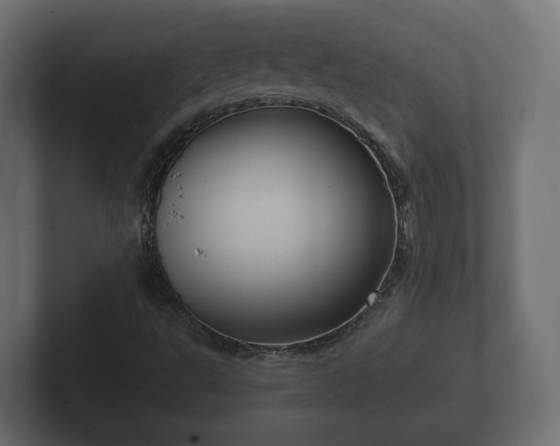 X0000102791495200808251018