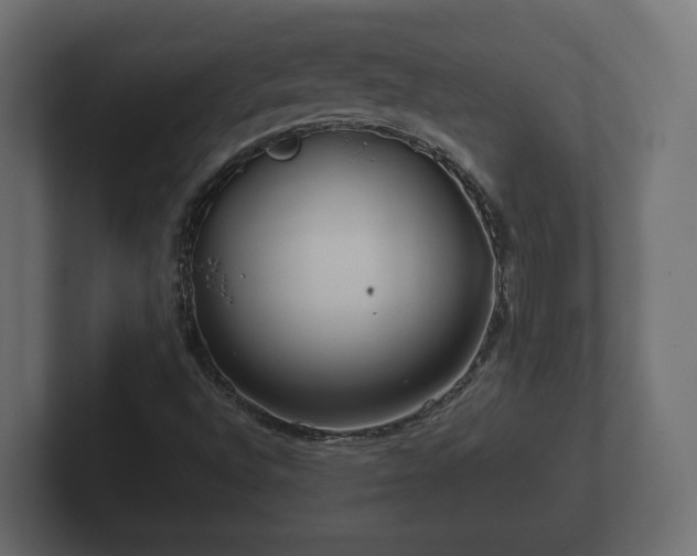 X0000102791496200808251018