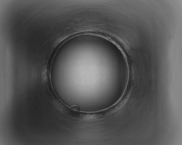 X0000102791497200808251018