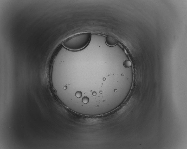 X0000102791498200808251018