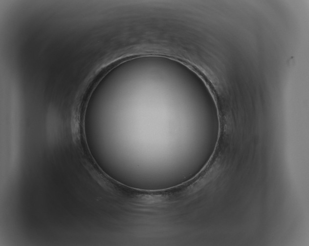 X0000102791499200808251018