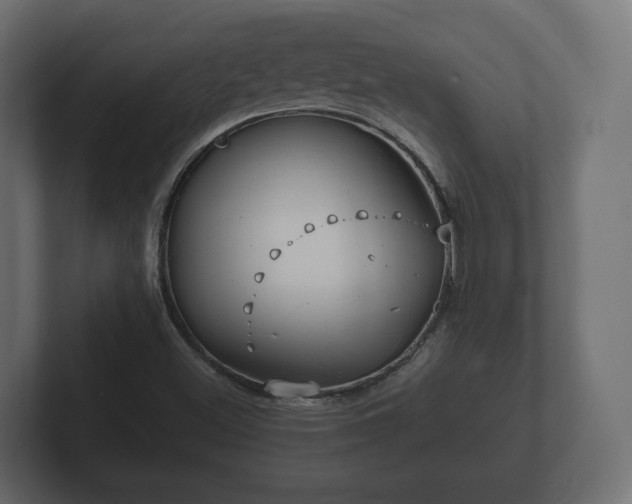 X0000102791500200808251018