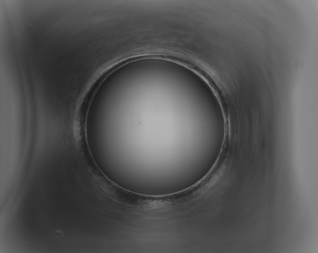 X0000102791501200808251018