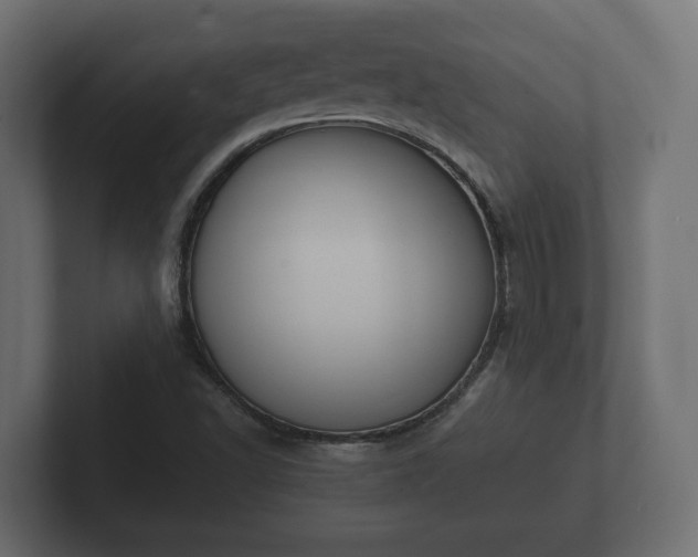 X0000102791502200808251018