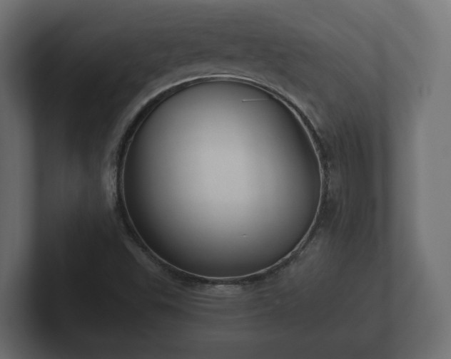 X0000102791503200808251018