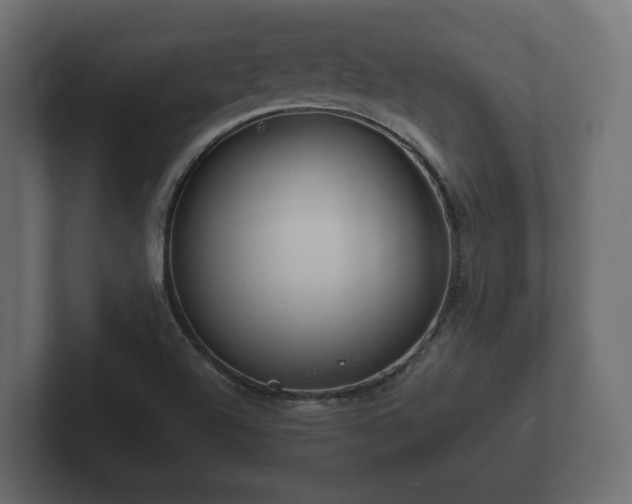 X0000102791504200808251018