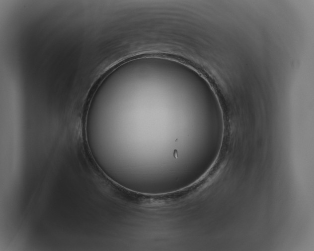 X0000102791505200808251018