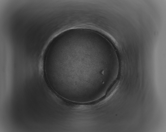 X0000102791506200808251018